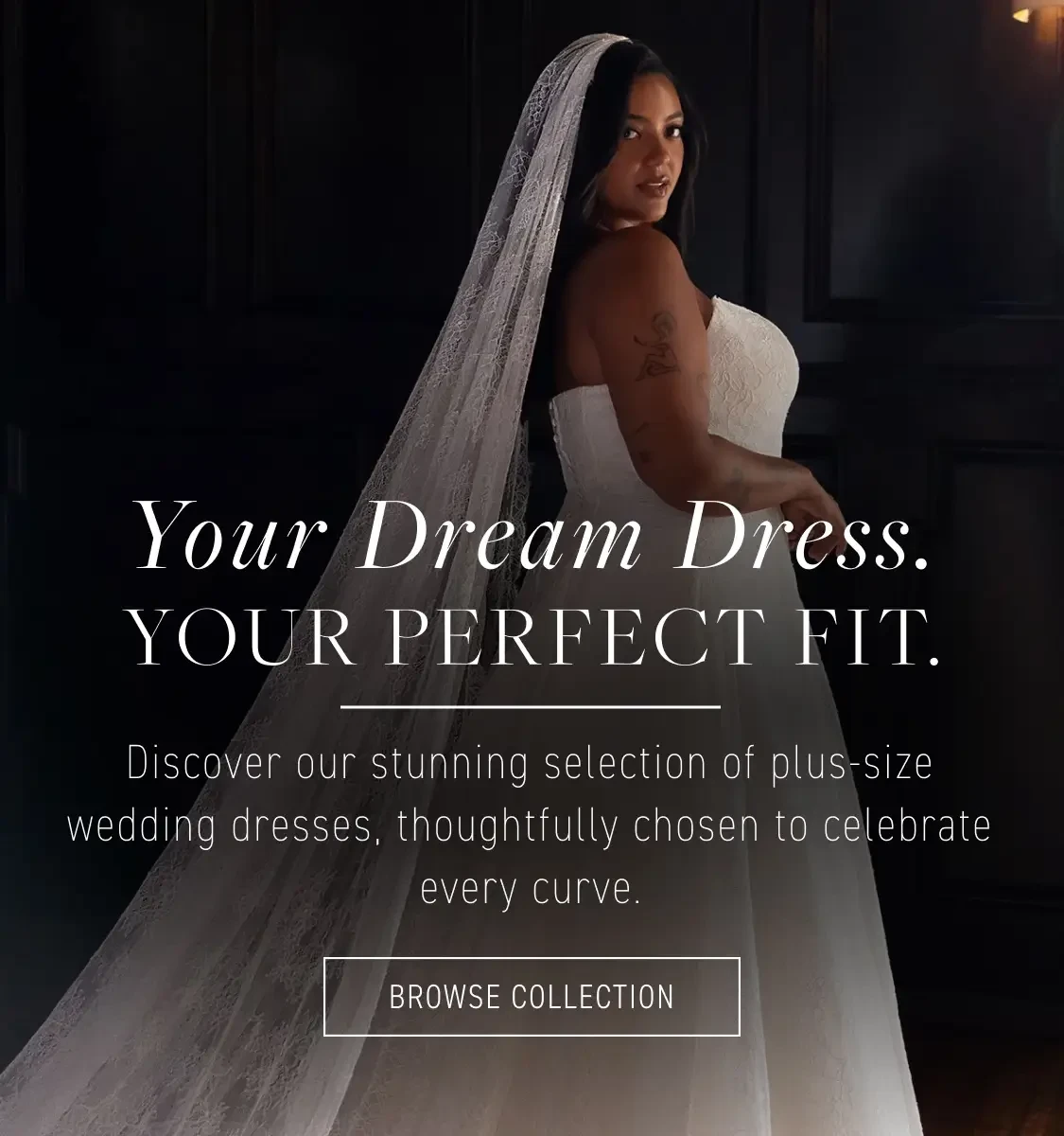 plus size collection for 2026 brides